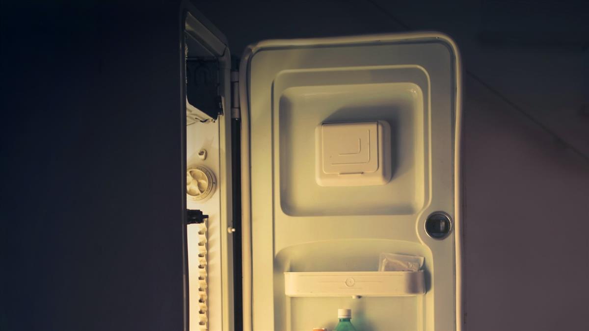 房客退租「冰箱藏馬爾濟斯屍體」 房東一開門崩潰